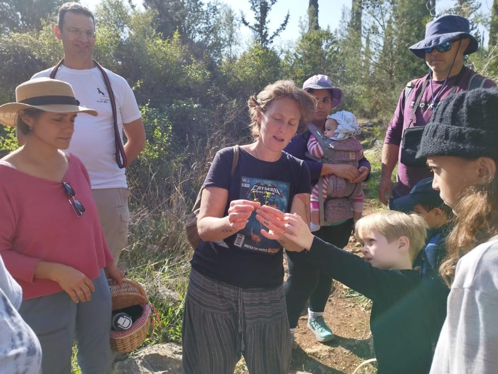 דיה מלמדת על נבטים