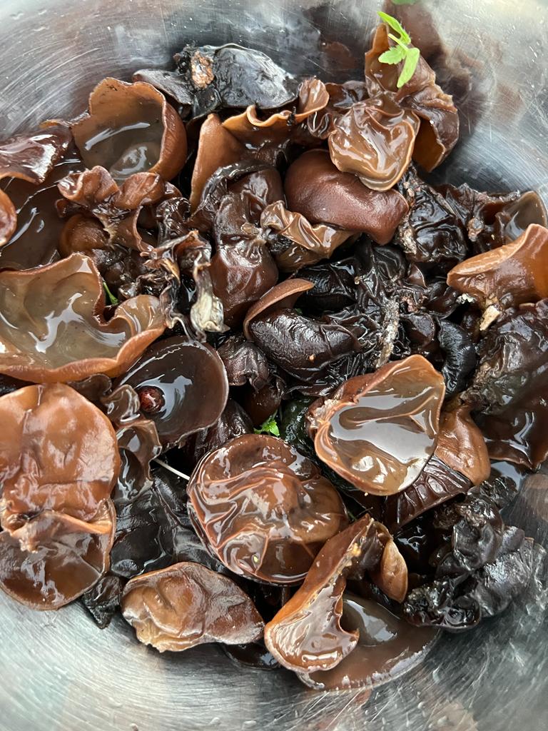 פטריות מלוקטות